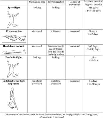 Impact of different ground-based microgravity models on human sensorimotor system